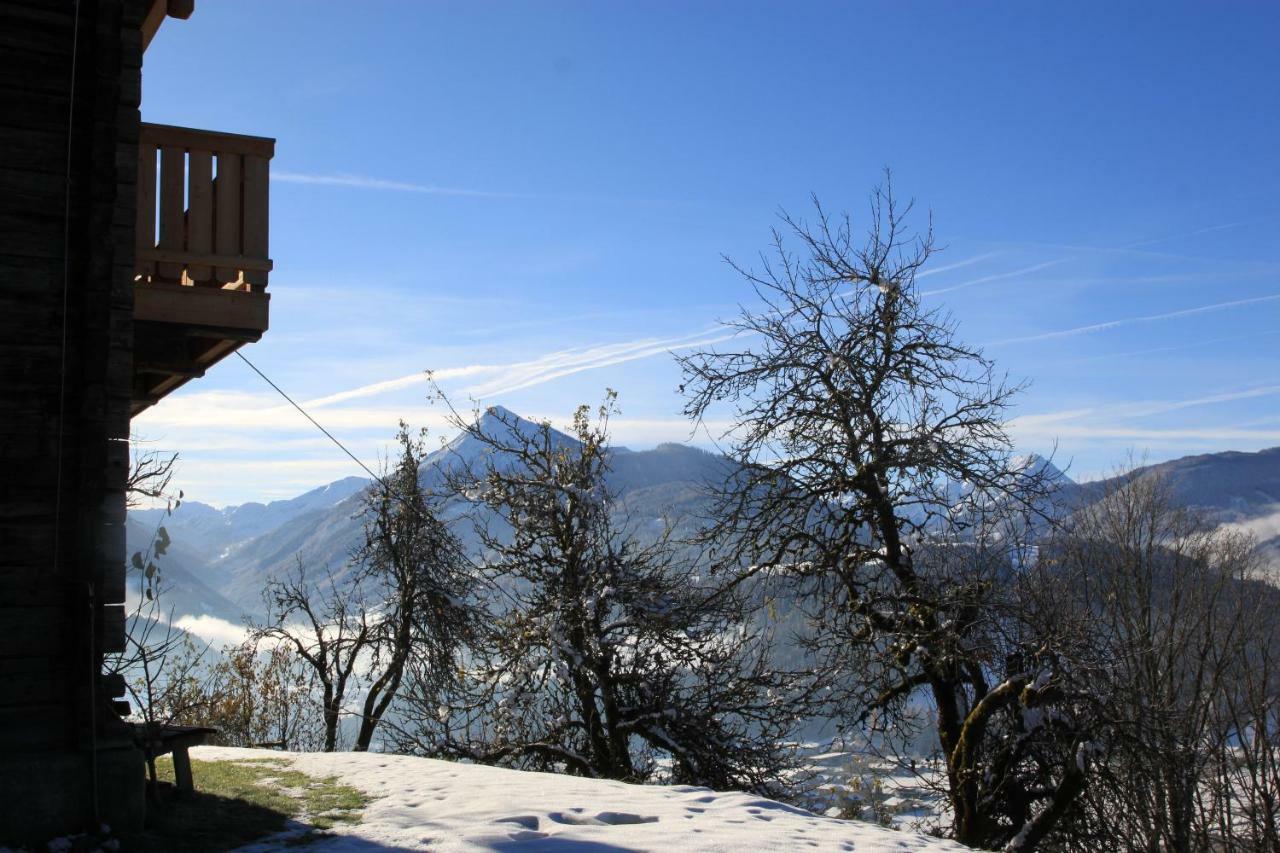 Apartment Pötzelberghof Altenmarkt im Pongau Exterior foto